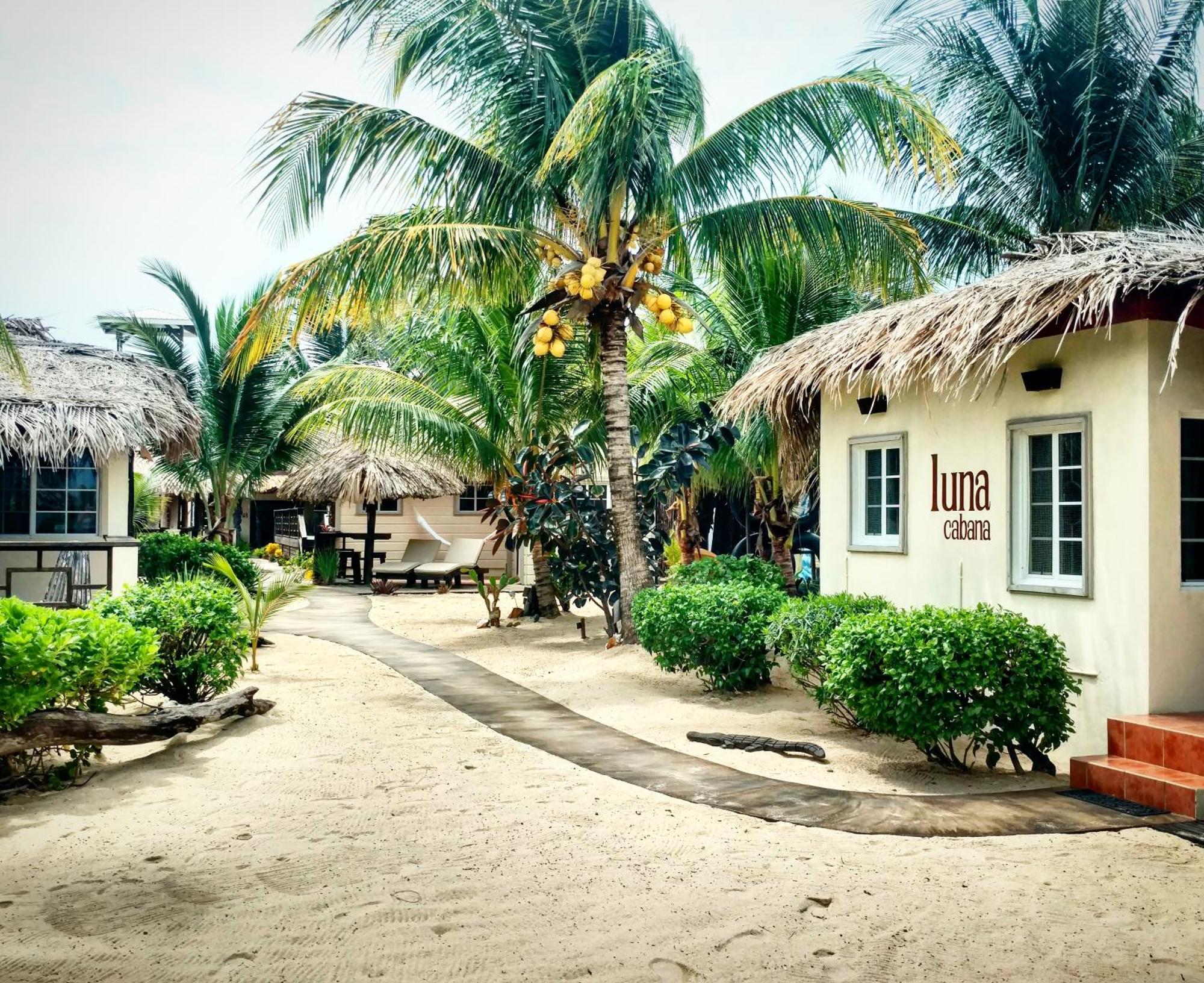 Caribbean Beach Cabanas Placencia Dış mekan fotoğraf
